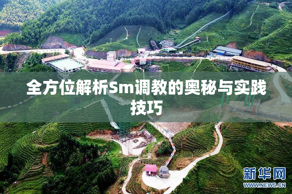 全方位解析Sm调教的奥秘与实践技巧