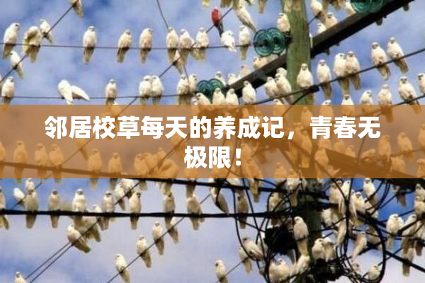 邻居校草每天的养成记，青春无极限！