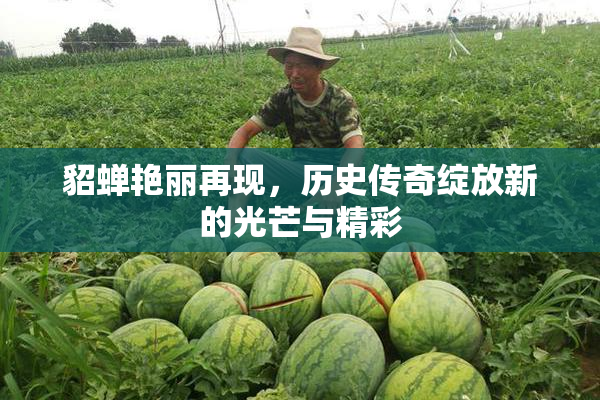 貂蝉艳丽再现，历史传奇绽放新的光芒与精彩