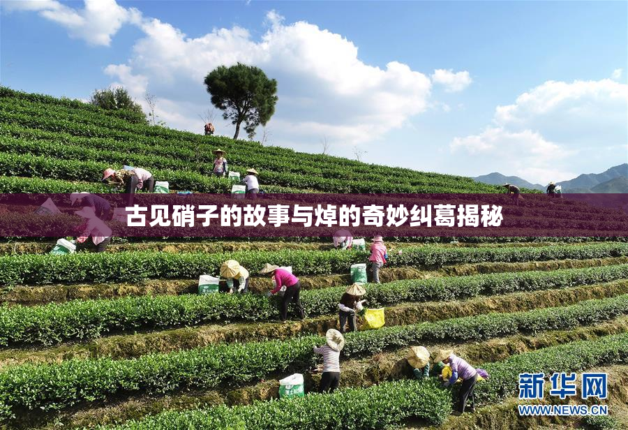 古见硝子的故事与焯的奇妙纠葛揭秘