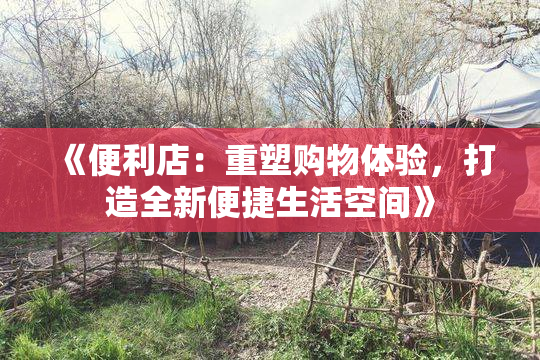 《便利店：重塑购物体验，打造全新便捷生活空间》