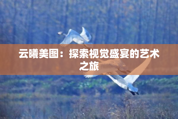 云曦美图：探索视觉盛宴的艺术之旅