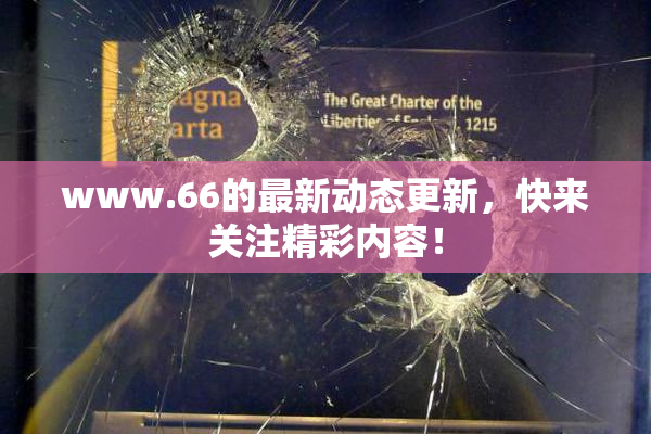 www.66的最新动态更新，快来关注精彩内容！