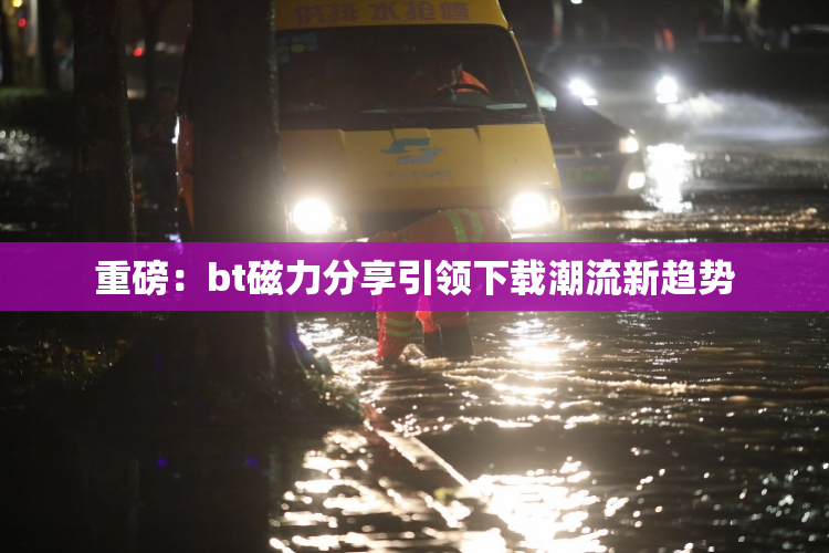 重磅：bt磁力分享引领下载潮流新趋势