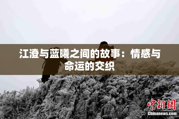江澄与蓝曦之间的故事：情感与命运的交织