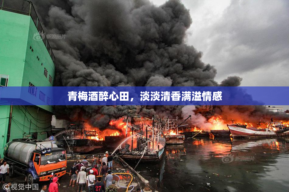 青梅酒醉心田，淡淡清香满溢情感