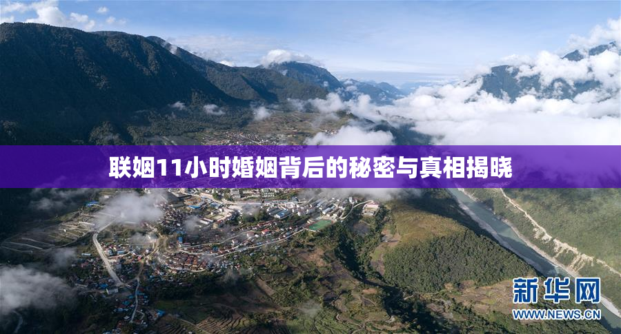 联姻11小时婚姻背后的秘密与真相揭晓