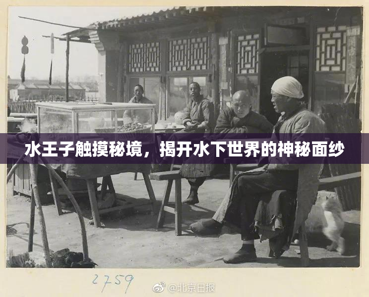 水王子触摸秘境，揭开水下世界的神秘面纱