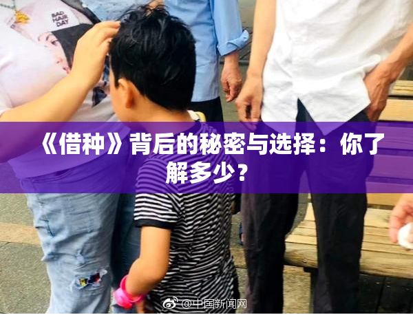 《借种》背后的秘密与选择：你了解多少？