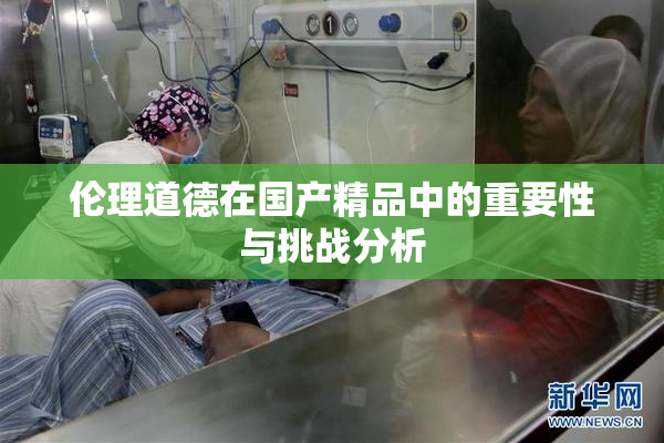伦理道德在国产精品中的重要性与挑战分析