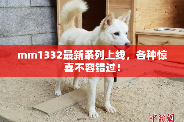 mm1332最新系列上线，各种惊喜不容错过！