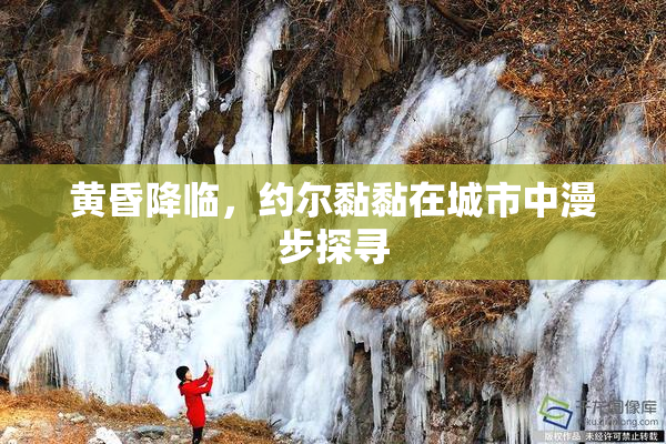 黄昏降临，约尔黏黏在城市中漫步探寻