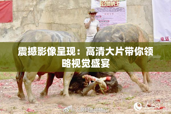 震撼影像呈现：高清大片带你领略视觉盛宴