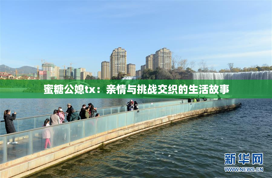 蜜糖公媳tx：亲情与挑战交织的生活故事