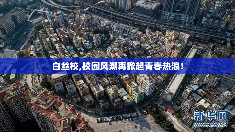 白丝校,校园风潮再掀起青春热浪！