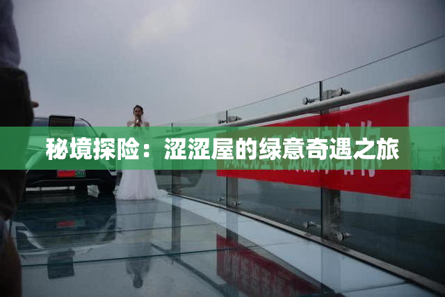 秘境探险：涩涩屋的绿意奇遇之旅