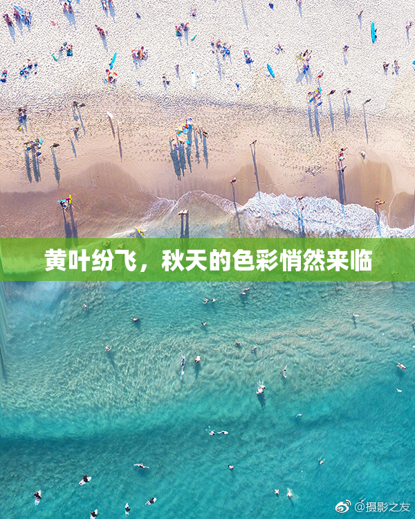 黄叶纷飞，秋天的色彩悄然来临