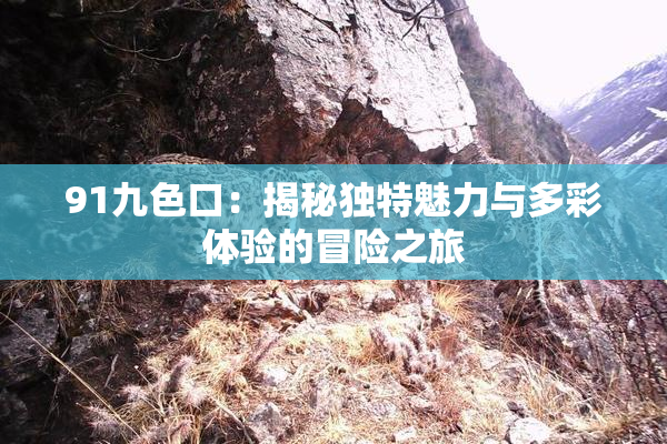 91九色口：揭秘独特魅力与多彩体验的冒险之旅