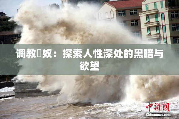 调教婬奴：探索人性深处的黑暗与欲望