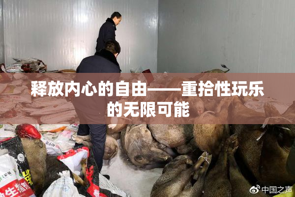 释放内心的自由——重拾性玩乐的无限可能