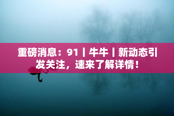 重磅消息：91丨牛牛丨新动态引发关注，速来了解详情！