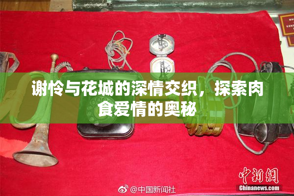 谢怜与花城的深情交织，探索肉食爱情的奥秘