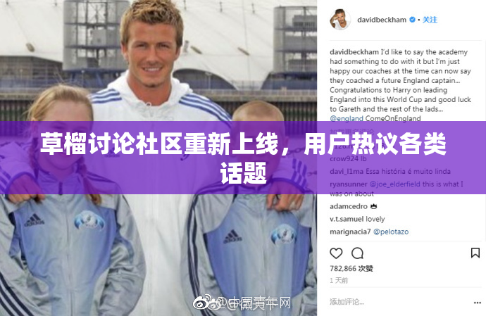 草榴讨论社区重新上线，用户热议各类话题