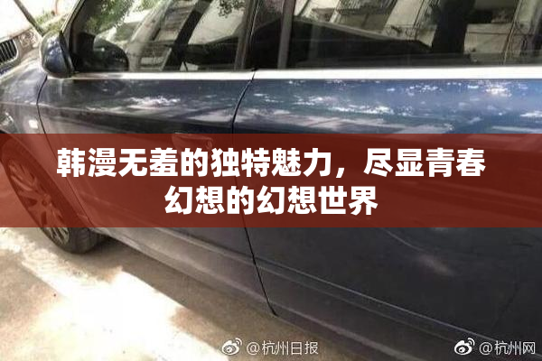 韩漫无羞的独特魅力，尽显青春幻想的幻想世界