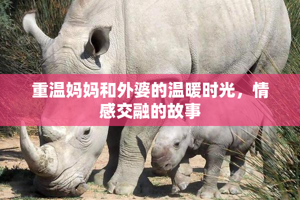 重温妈妈和外婆的温暖时光，情感交融的故事