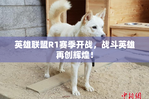 英雄联盟R1赛季开战，战斗英雄再创辉煌！