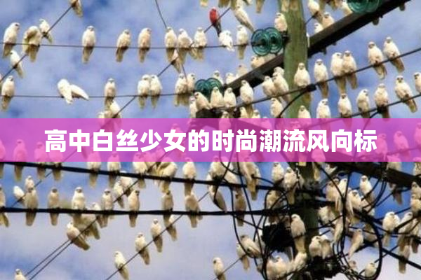 高中白丝少女的时尚潮流风向标