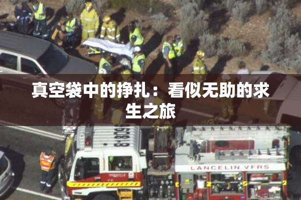 真空袋中的挣扎：看似无助的求生之旅