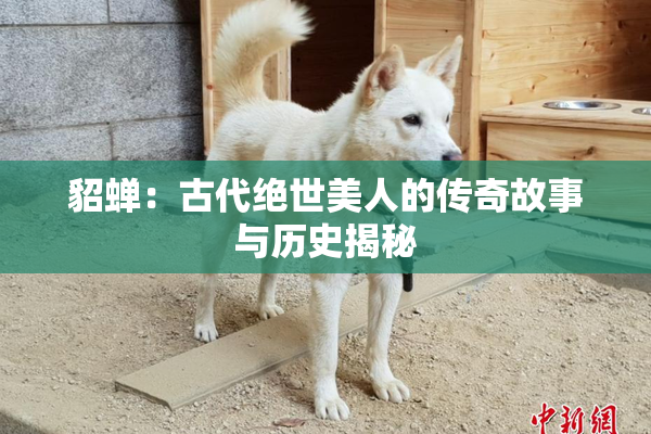 貂蝉：古代绝世美人的传奇故事与历史揭秘