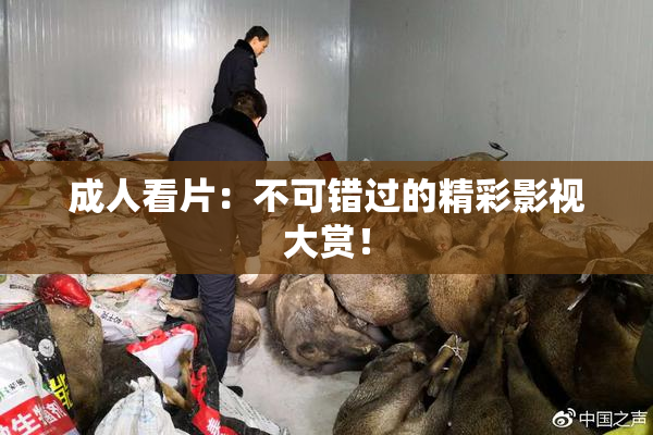 成人看片：不可错过的精彩影视大赏！