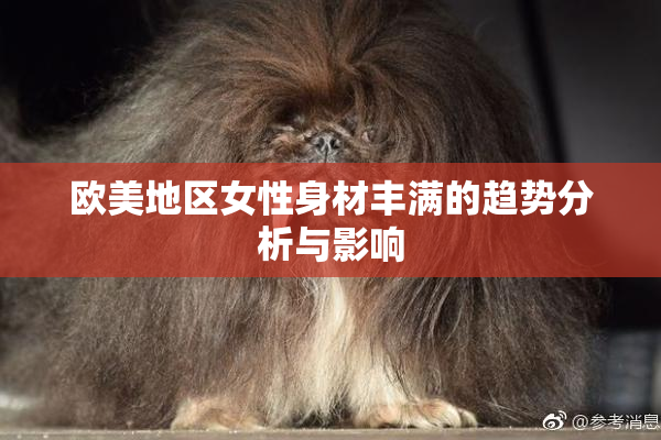 欧美地区女性身材丰满的趋势分析与影响