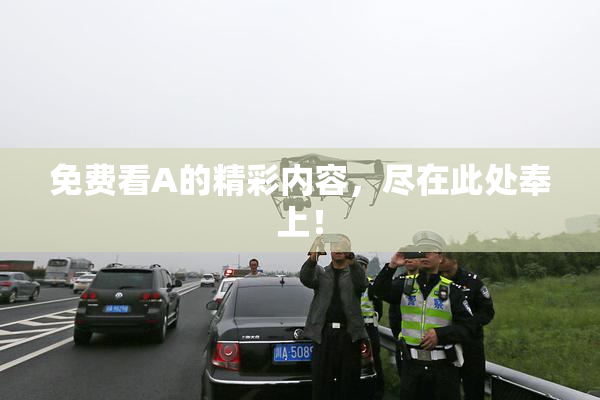 免费看A的精彩内容，尽在此处奉上！