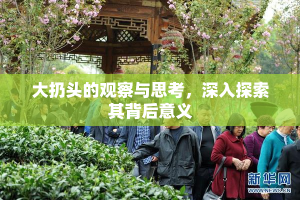 大扔头的观察与思考，深入探索其背后意义