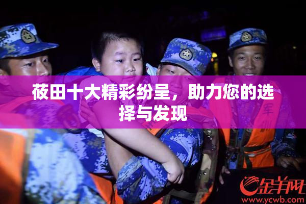 莜田十大精彩纷呈，助力您的选择与发现