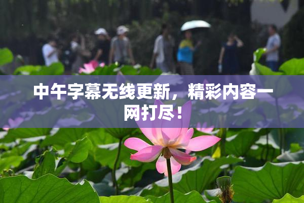 中午字幕无线更新，精彩内容一网打尽！