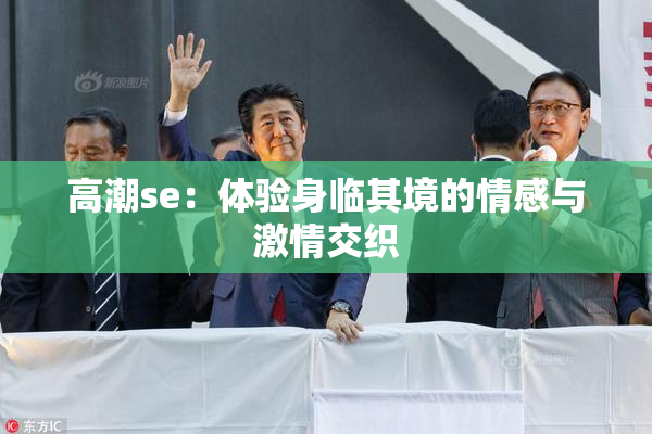 高潮se：体验身临其境的情感与激情交织