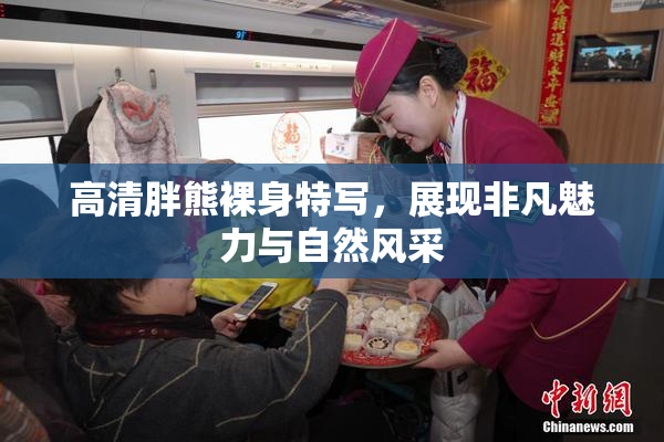 高清胖熊裸身特写，展现非凡魅力与自然风采