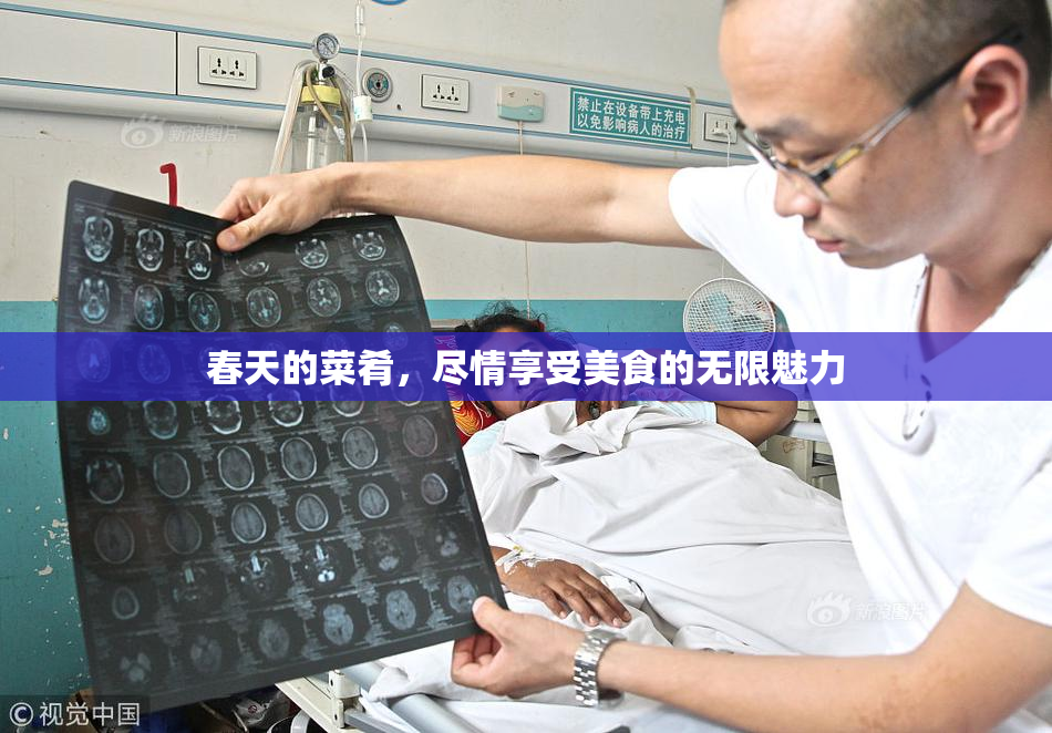 春天的菜肴，尽情享受美食的无限魅力