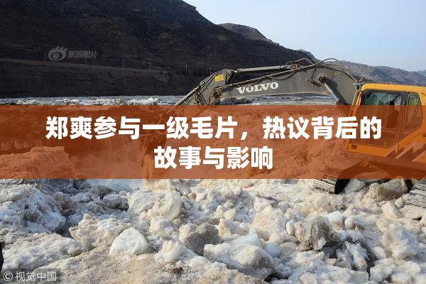 郑爽参与一级毛片，热议背后的故事与影响
