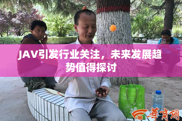 JAV引发行业关注，未来发展趋势值得探讨
