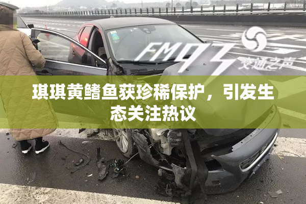 琪琪黄鳍鱼获珍稀保护，引发生态关注热议