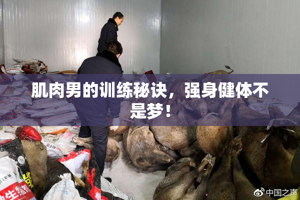 肌肉男的训练秘诀，强身健体不是梦！