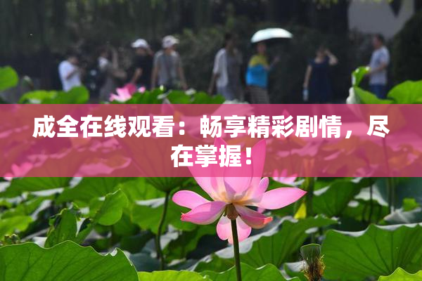 成全在线观看：畅享精彩剧情，尽在掌握！