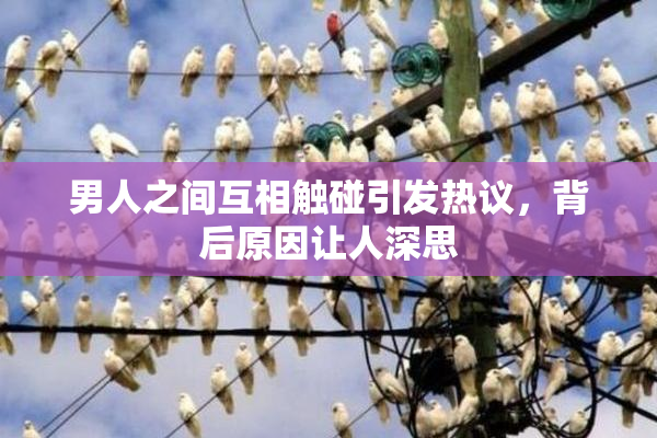 男人之间互相触碰引发热议，背后原因让人深思