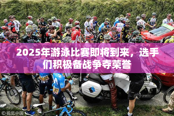 2025年游泳比赛即将到来，选手们积极备战争夺荣誉