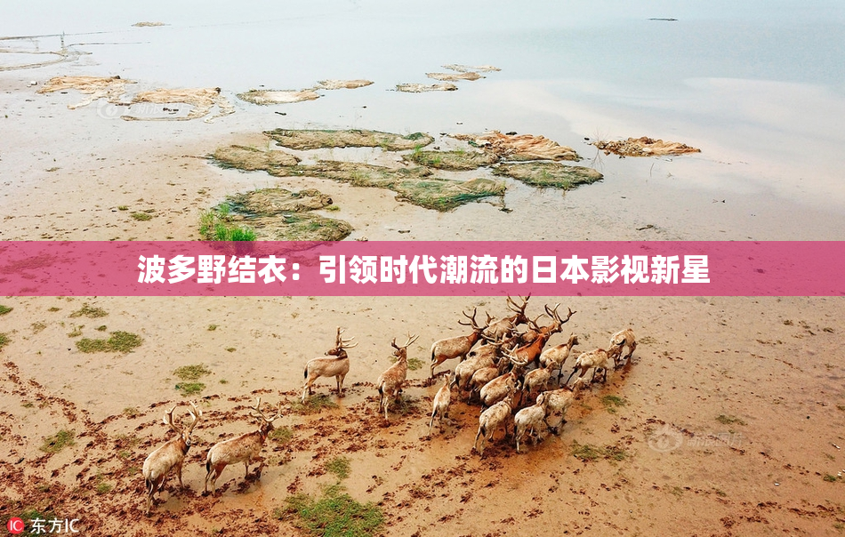 波多野结衣：引领时代潮流的日本影视新星